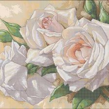 Оригинал схемы вышивки «нежные белые розы» (№442553)