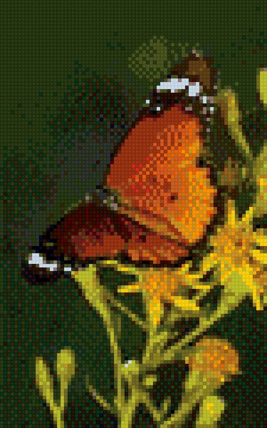 Бабочка - бабочка - предпросмотр