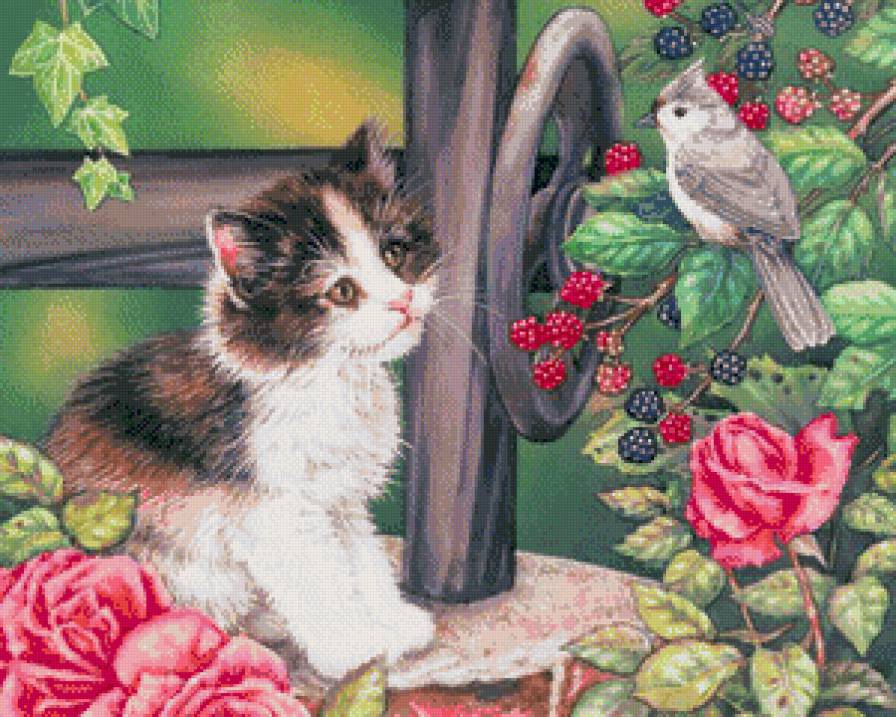 котенок - птичка, котенок - предпросмотр