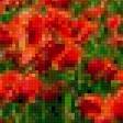 Предпросмотр схемы вышивки «маки» (№443139)