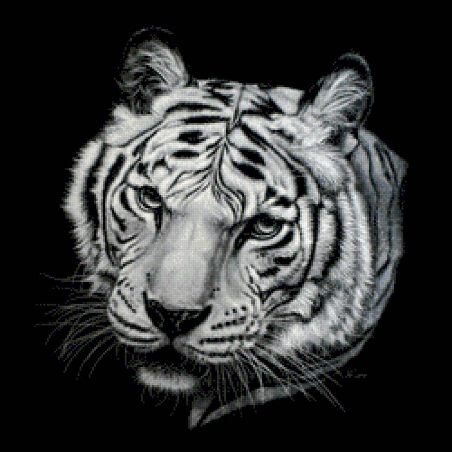 тигруша... - черно-белый, животные - предпросмотр