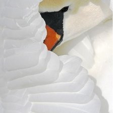 Схема вышивки «лебедь»