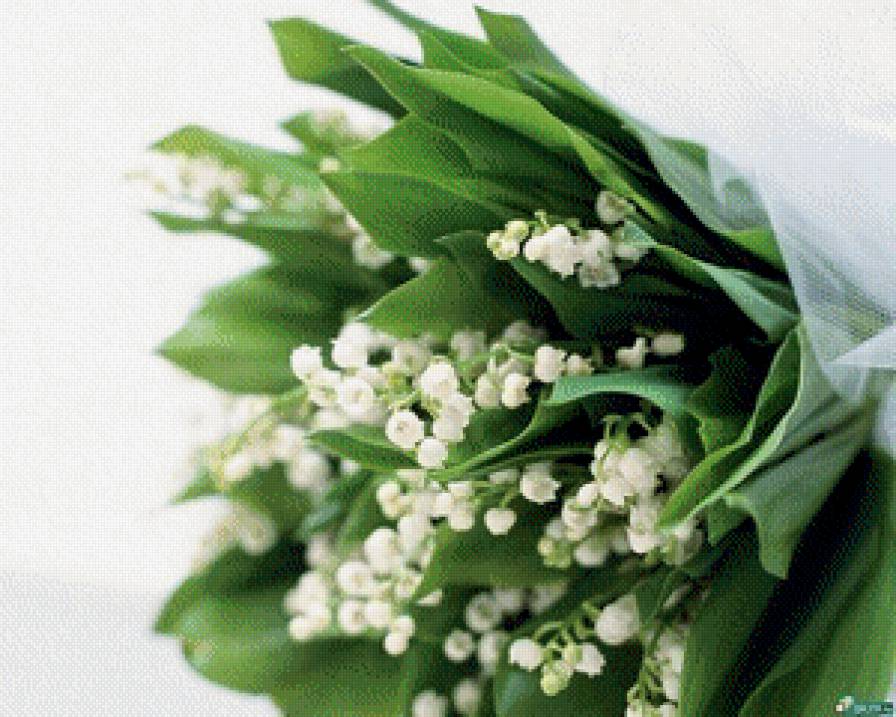 ландыши - природа, ландыши, букет, цветы - предпросмотр