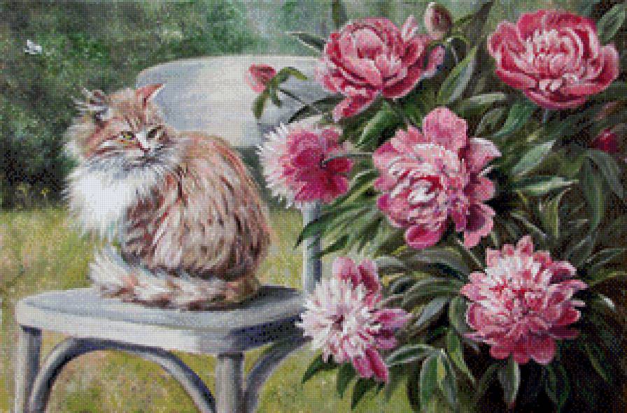 ароматы лета - пионы, цветы, кот - предпросмотр