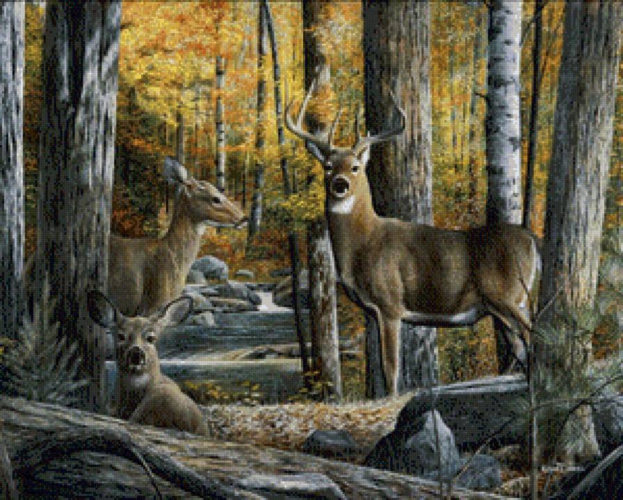 дикая природа - предпросмотр