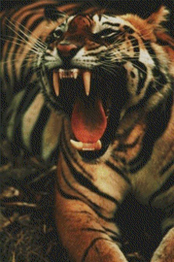 №443668 - кошки, тигры - предпросмотр