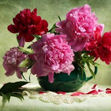 Схема вышивки «Пионы»