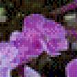 Предпросмотр схемы вышивки «Цветы» (№443782)