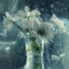 Схема вышивки «Серия "Цветы под дождем"»