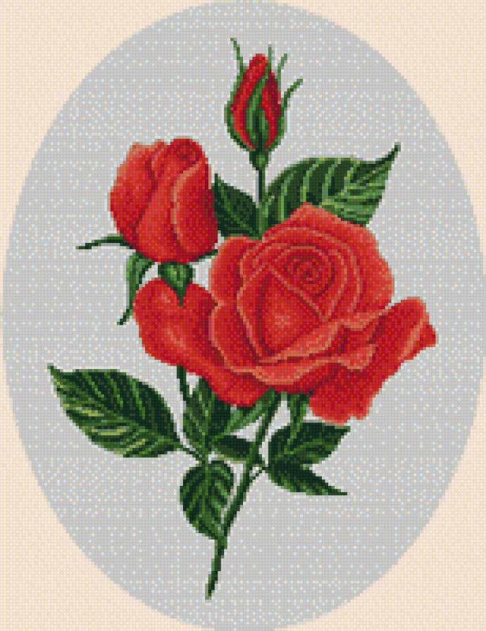 алые розы - розы, букет, цветы - предпросмотр