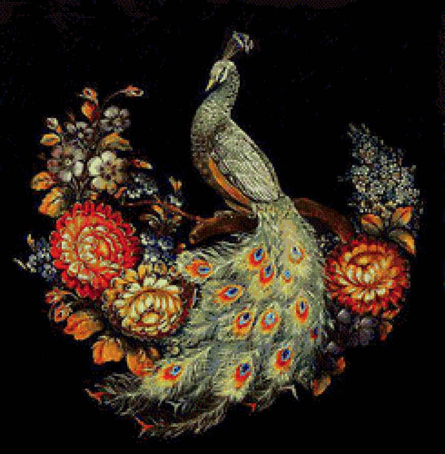 павлин - предпросмотр