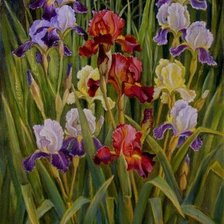 Схема вышивки «Ирисы»