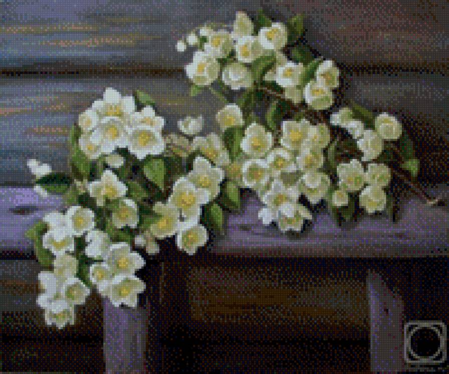 Жасмин - предпросмотр