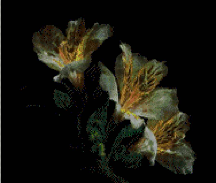 cveti - предпросмотр