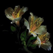 Схема вышивки «cveti»