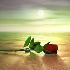 Схема вышивки «roza»