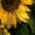Предпросмотр схемы вышивки «Подсолнухи» (№444791)