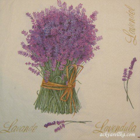 Лаванда - цветочные мотивы, лаванда, цветы - оригинал