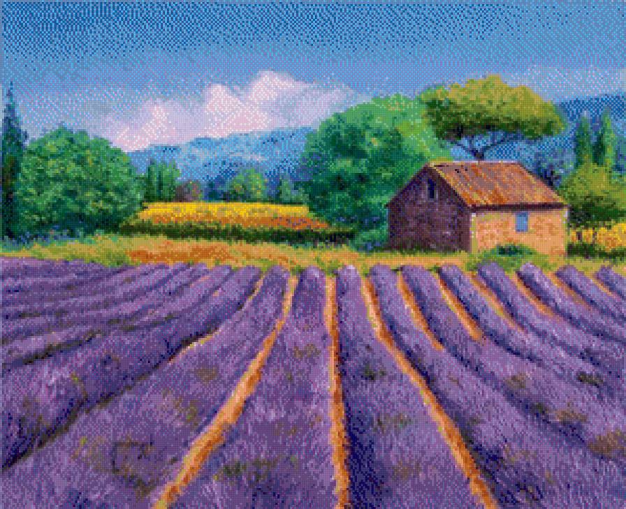 Фото автора Александр на Яндекс.Фотках - пейзаж, цветы, лавандовое поле - предпросмотр