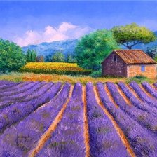 Схема вышивки «Фото автора Александр на Яндекс.Фотках»