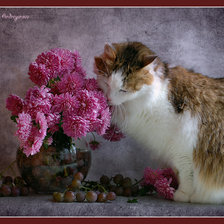 Схема вышивки «№445675»