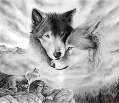 волки - черно-белое, животные, волки - оригинал