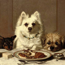 Схема вышивки «№445746»