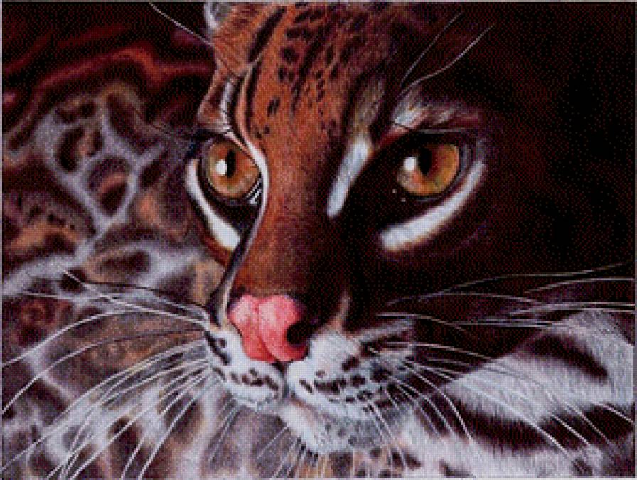 Сэмюэль Сильва рисунки шариковой ручкой - предпросмотр