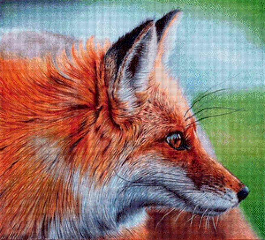 Сэмюэль Сильва рисунки шариковой ручкой - предпросмотр