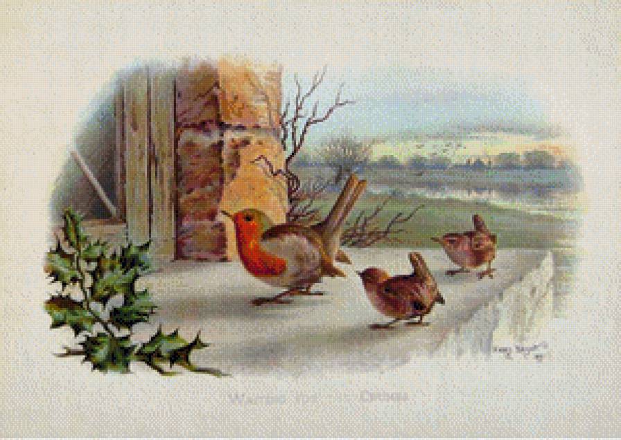 №445885 - предпросмотр