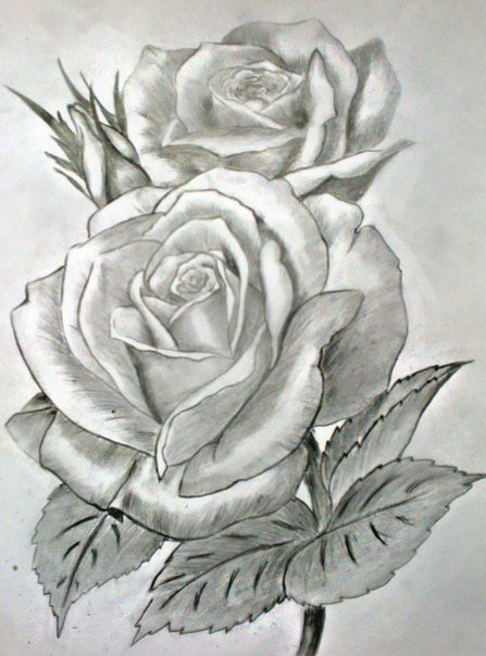 №445887 - оригинал