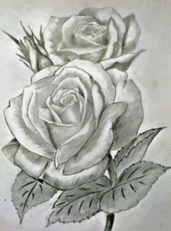 №445887 - предпросмотр