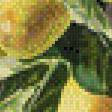 Предпросмотр схемы вышивки «Цветы и фрукты» (№445894)