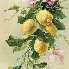 Оригинал схемы вышивки «Цветы и фрукты» (№445894)