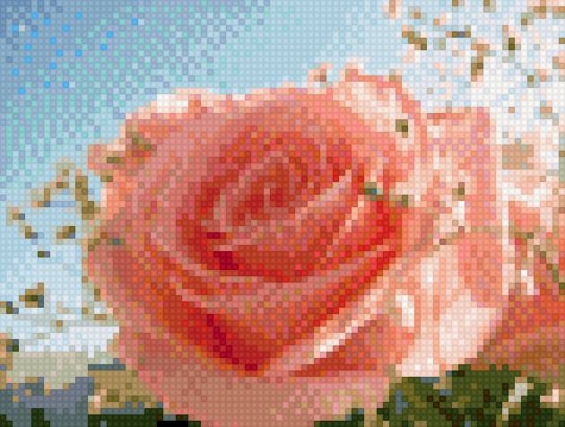 роза - цветок, розовый, роза - предпросмотр