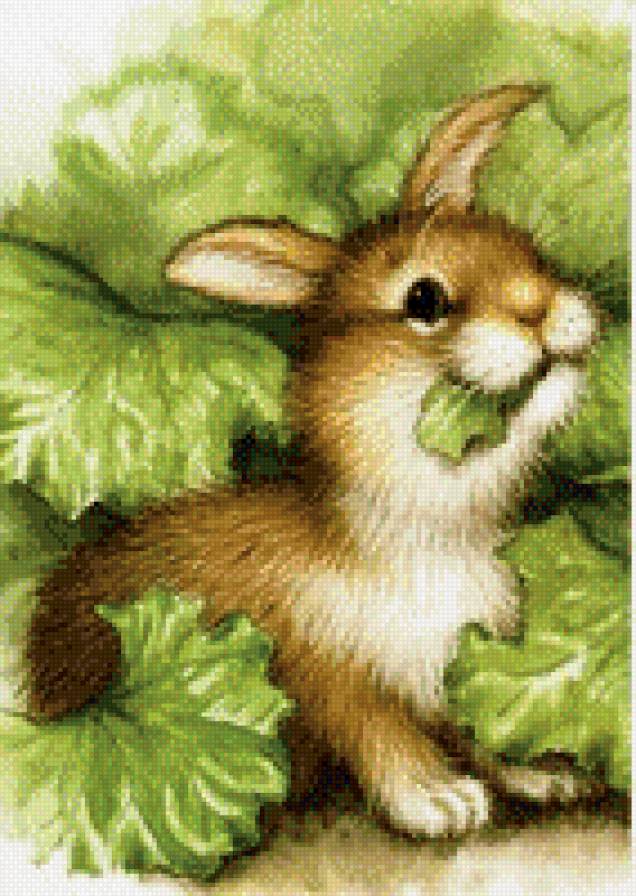 №446084 - предпросмотр