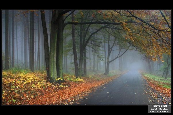 №446101 - пейзаж - оригинал