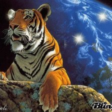 Схема вышивки «№446117»