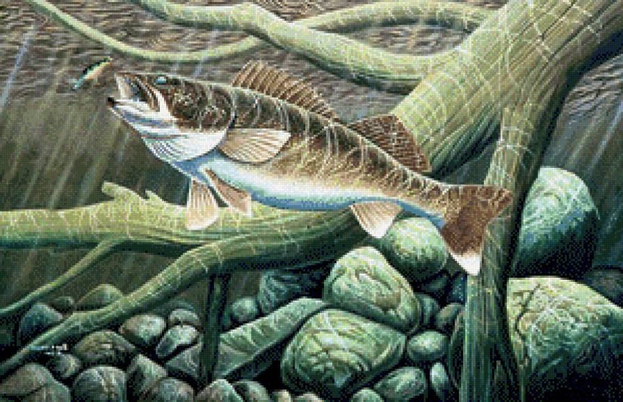 На морском дне - рыбка, рыба, море - предпросмотр