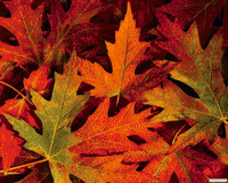 осень - красота, очарование, краски - предпросмотр