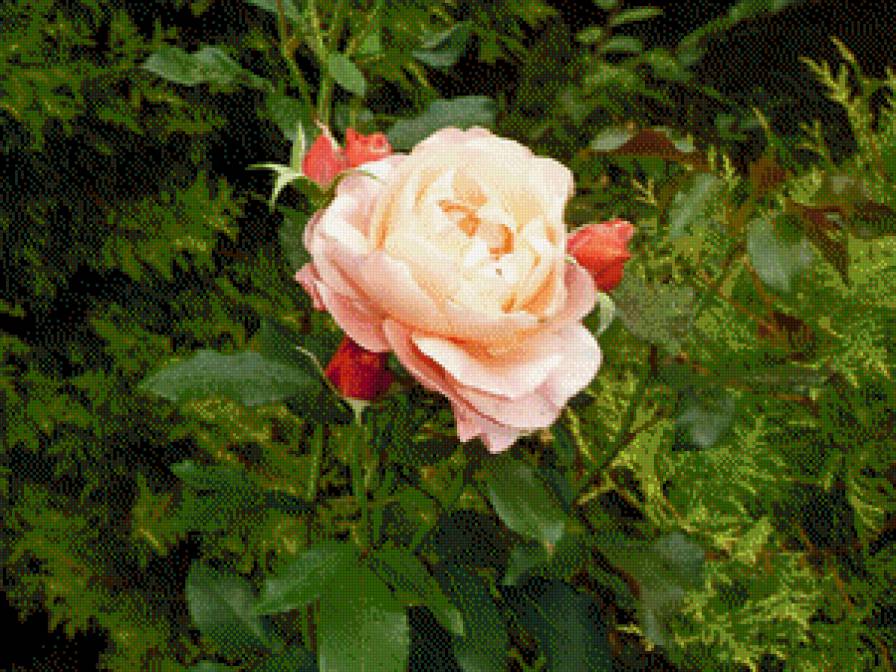 №446195 - предпросмотр