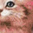 Предпросмотр схемы вышивки «котята» (№446253)