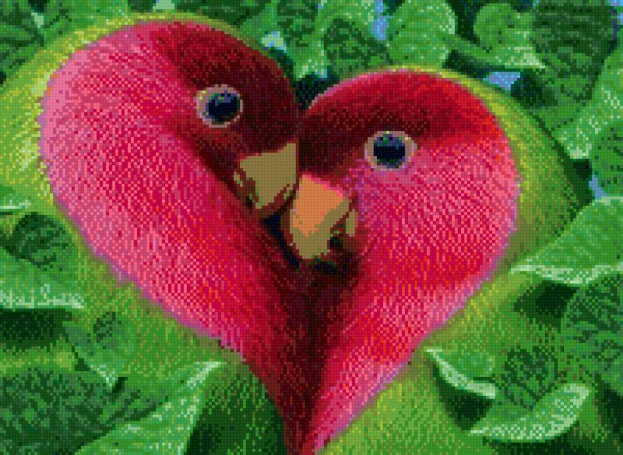 Неразлучники - природа, любовь, птицы - предпросмотр