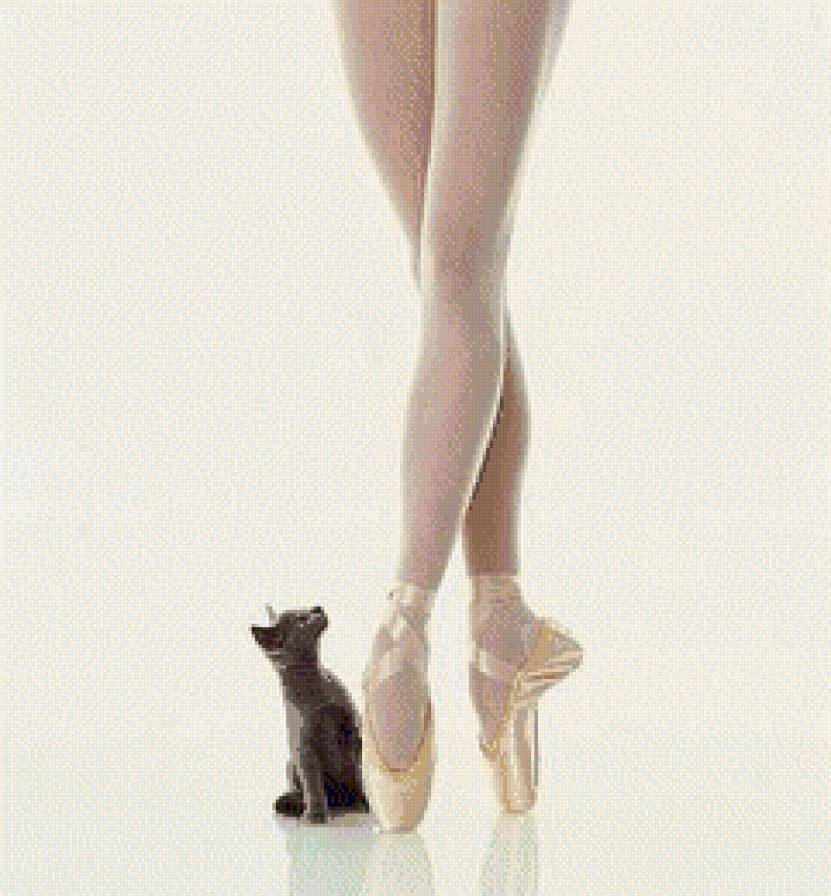 №446416 - предпросмотр