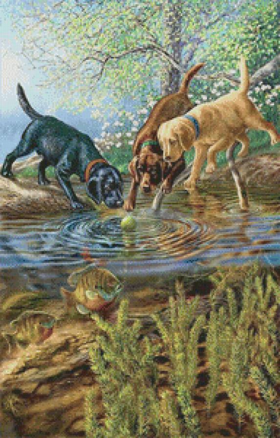 №446612 - предпросмотр