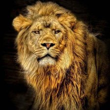 Схема вышивки «№446622»