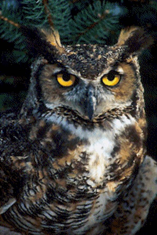 №446818 - предпросмотр