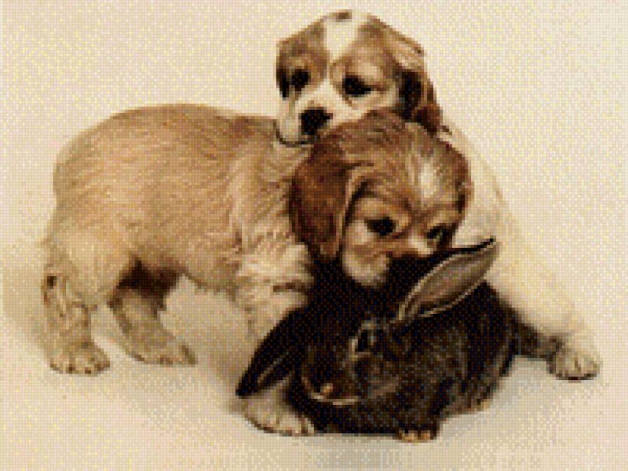 друзья - предпросмотр