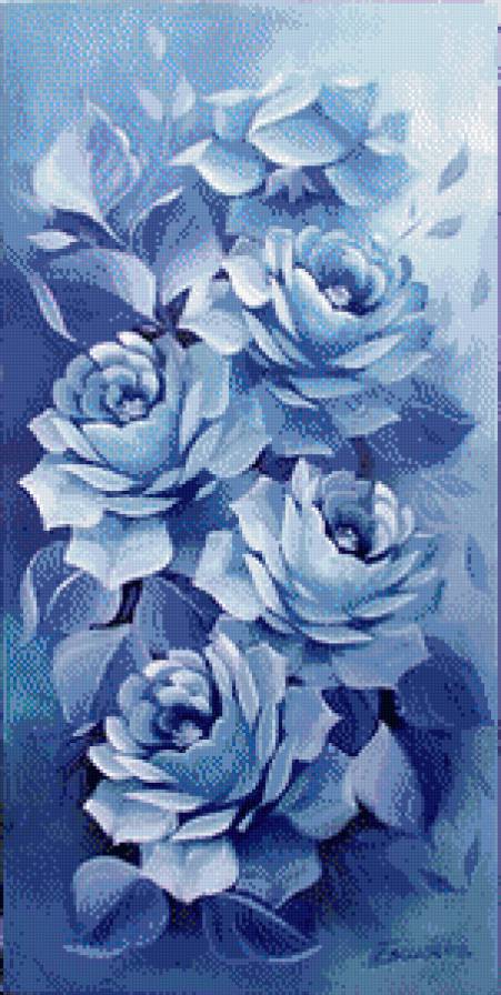 Синие розы - букет, цветы, розы - предпросмотр