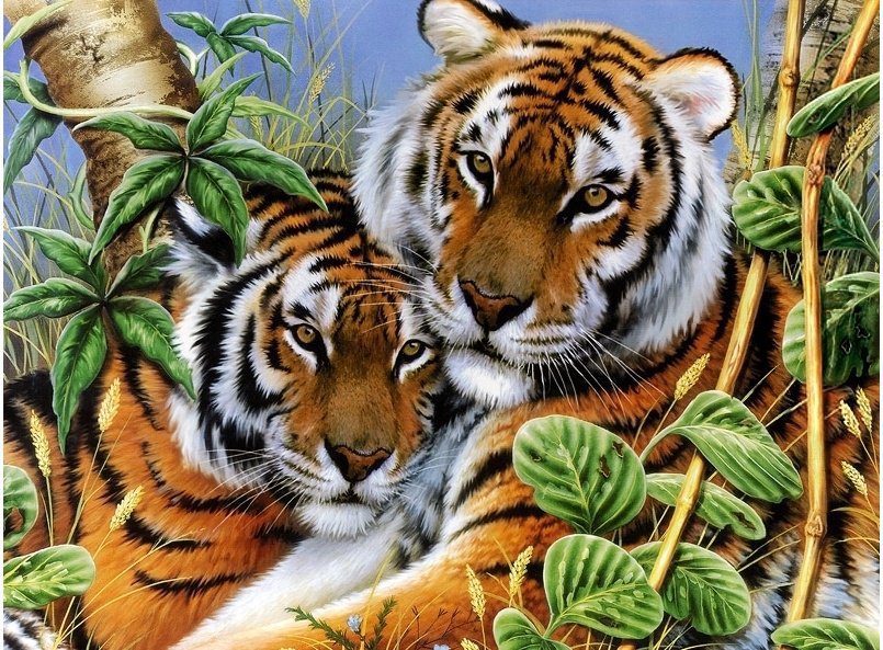 тигры3 - оригинал